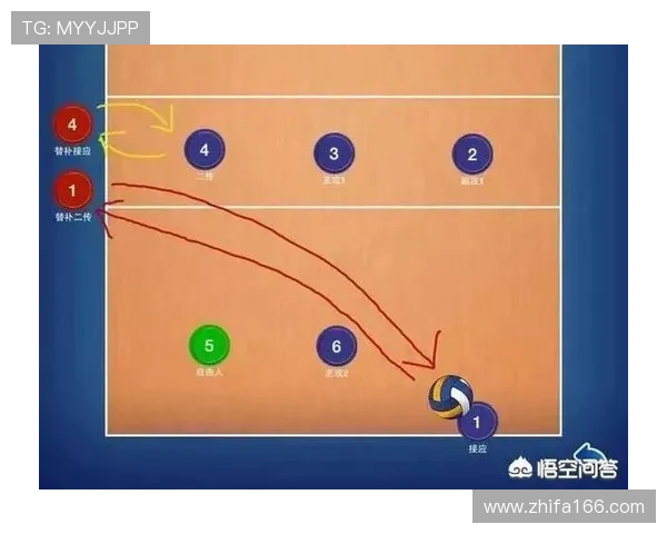 排球比赛规则详解全面解析从基本发球到关键得分与场上战术