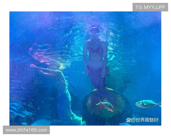 畅游水下世界感受无限自由泳姿与波动之美的奇妙动画之旅